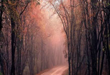 websea保本跟单，火遍全网，秒杀马后炮分析师