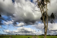 黄金回调VS比特币“崩盘”？财富机会就在眼前！