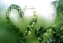 《加密货币合约交易热潮：解析以太币领跌与返佣》