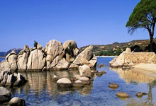 黄金回调VS比特币“崩盘”？财富机会就在眼前！